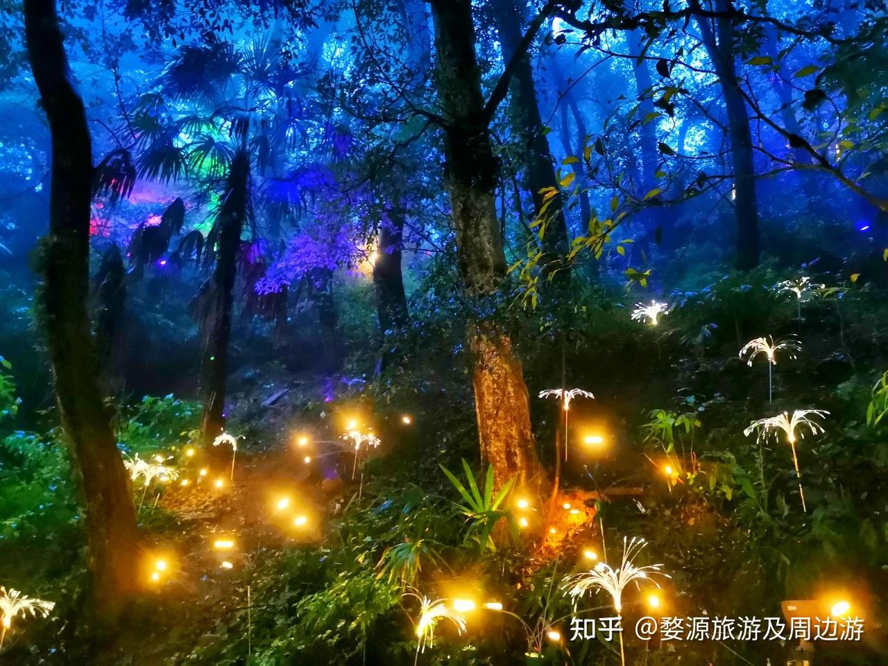 87魔法小屋:夜幕降临,这里渐渐变成了魔法森林,带你走进童话故事里