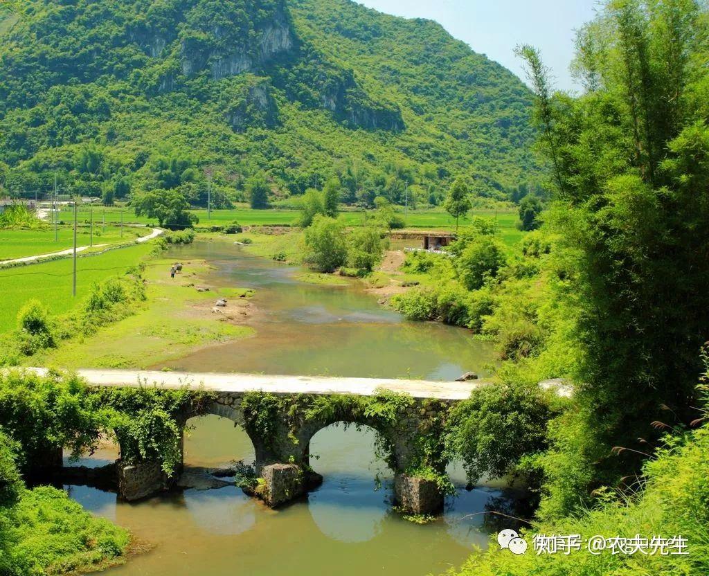 農夫先生提供的鄉村民宿生活純天然農家生活體驗旅遊