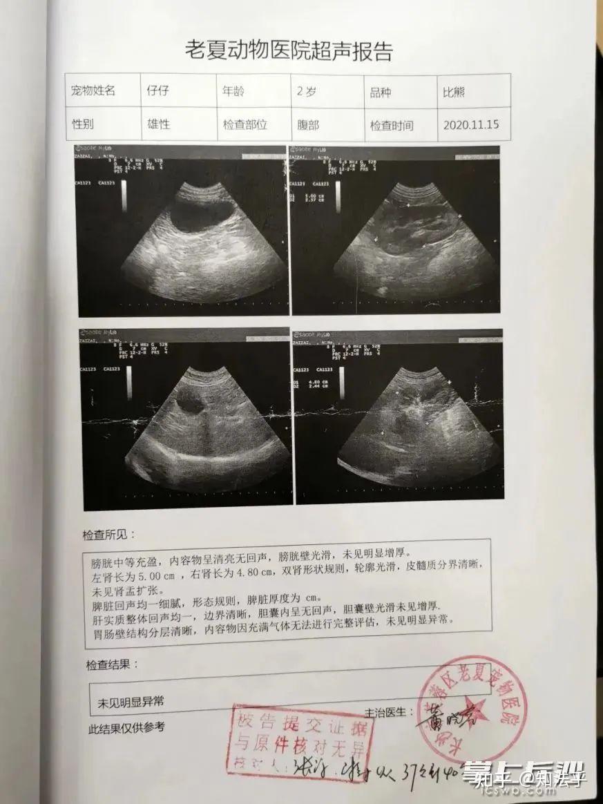 离谱！车撞狗，狗没事，车坏了！到底谁赔谁？ - 知乎