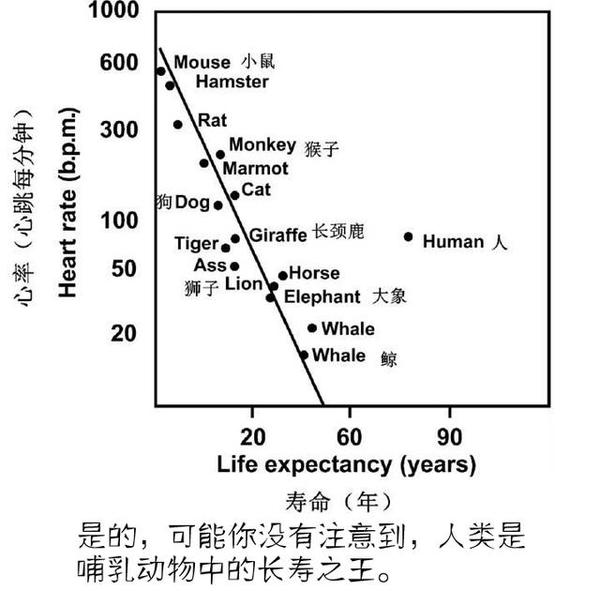 人类为何不能无性繁殖 男女性别的存在有什么意义吗 知乎