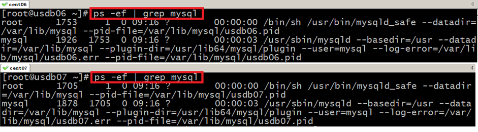 如何实现MySQL数据库的双机备份与双机复制？