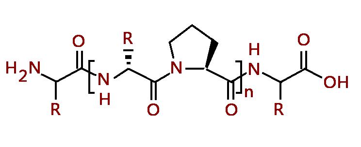 胶原蛋白分子中含有大量的亲水基-羧基和羟基基团,丙氨酸,丝氨酸