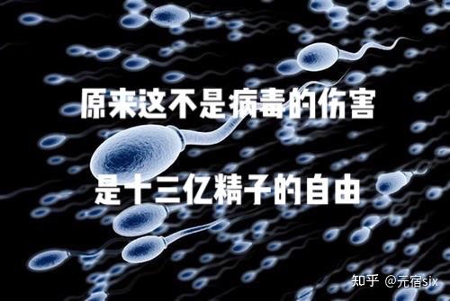 v2-95c4ad8b2ef4a1fe81e8328098aec567_r.jpg