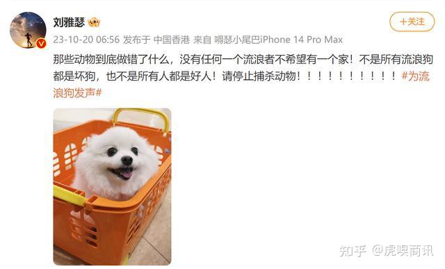艺人刘雅瑟为流浪狗发声:不是所有流浪狗都是坏狗,请停止捕杀动物 - 知乎