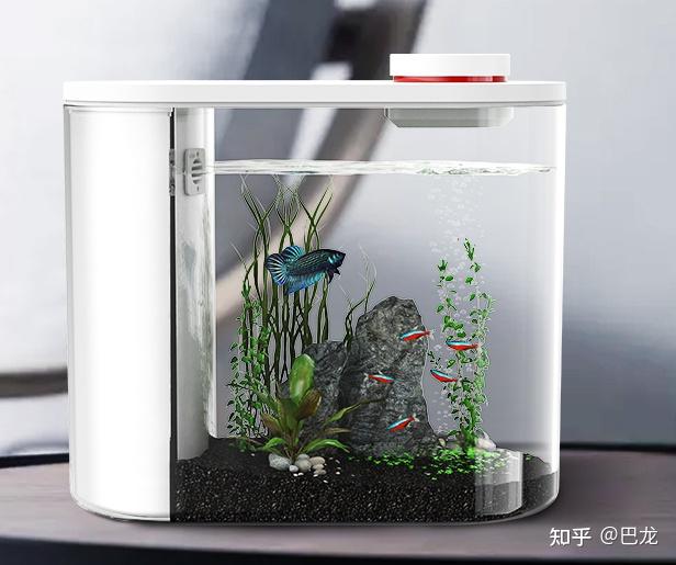 桌面魚缸推薦之微型魚缸小型魚缸創意魚缸