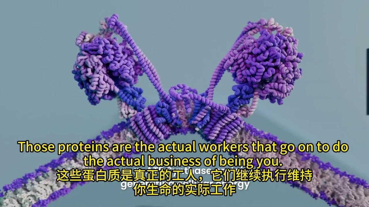 彻底解密DNA转录与mRNA剪接:动画揭秘生物学奥秘 - 知乎