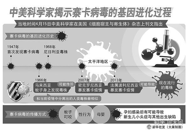 令人闻之色变的寨卡病毒传播史：对于寨卡病毒，你知道多少？ - 知乎