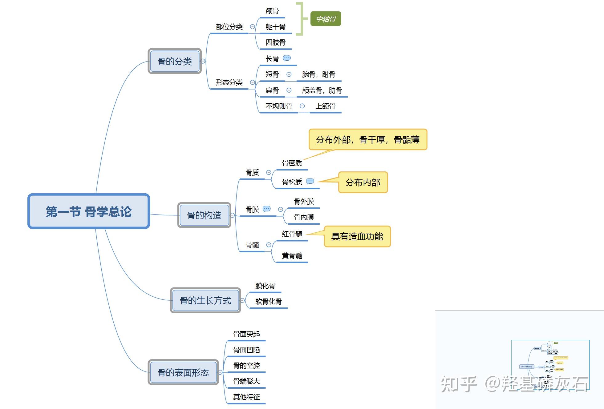 系统解剖学 第一章 骨学（思维导图） 知乎 