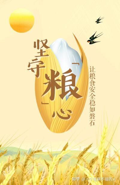 粮安天下!《捍卫国家安全的人民力量》(二) - 知乎