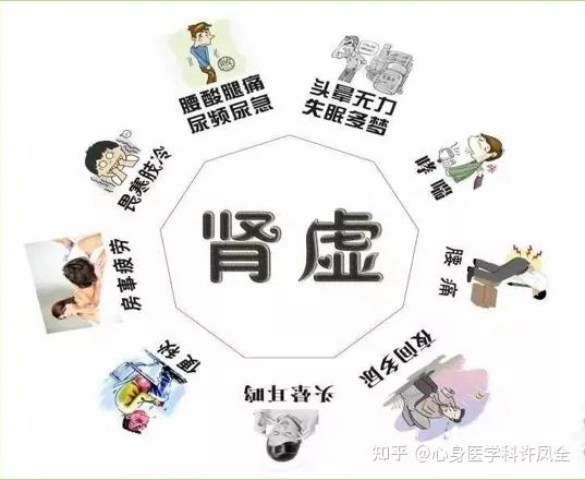 肾虚的症状可不止有你理解的那一种,来看看你有没有以下症状吧! - 知乎