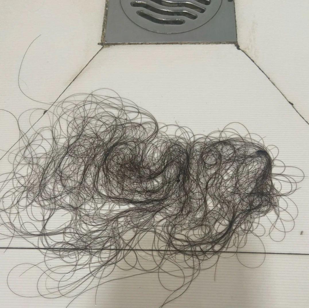洗头的时候头发大把大把的掉,每次清理下水道的时候,能给我急哭,扫又