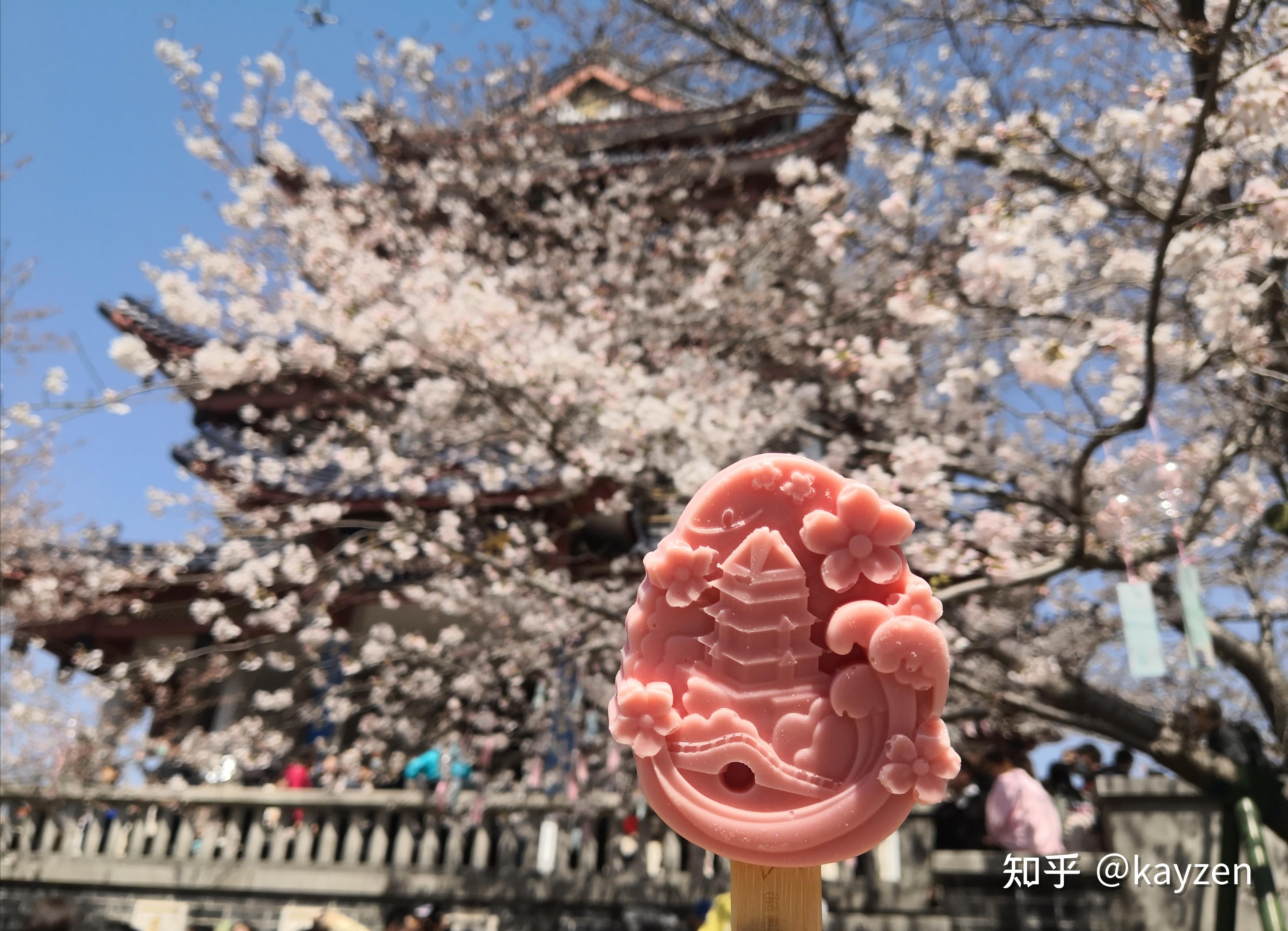 鼋头渚樱花冰淇淋图片