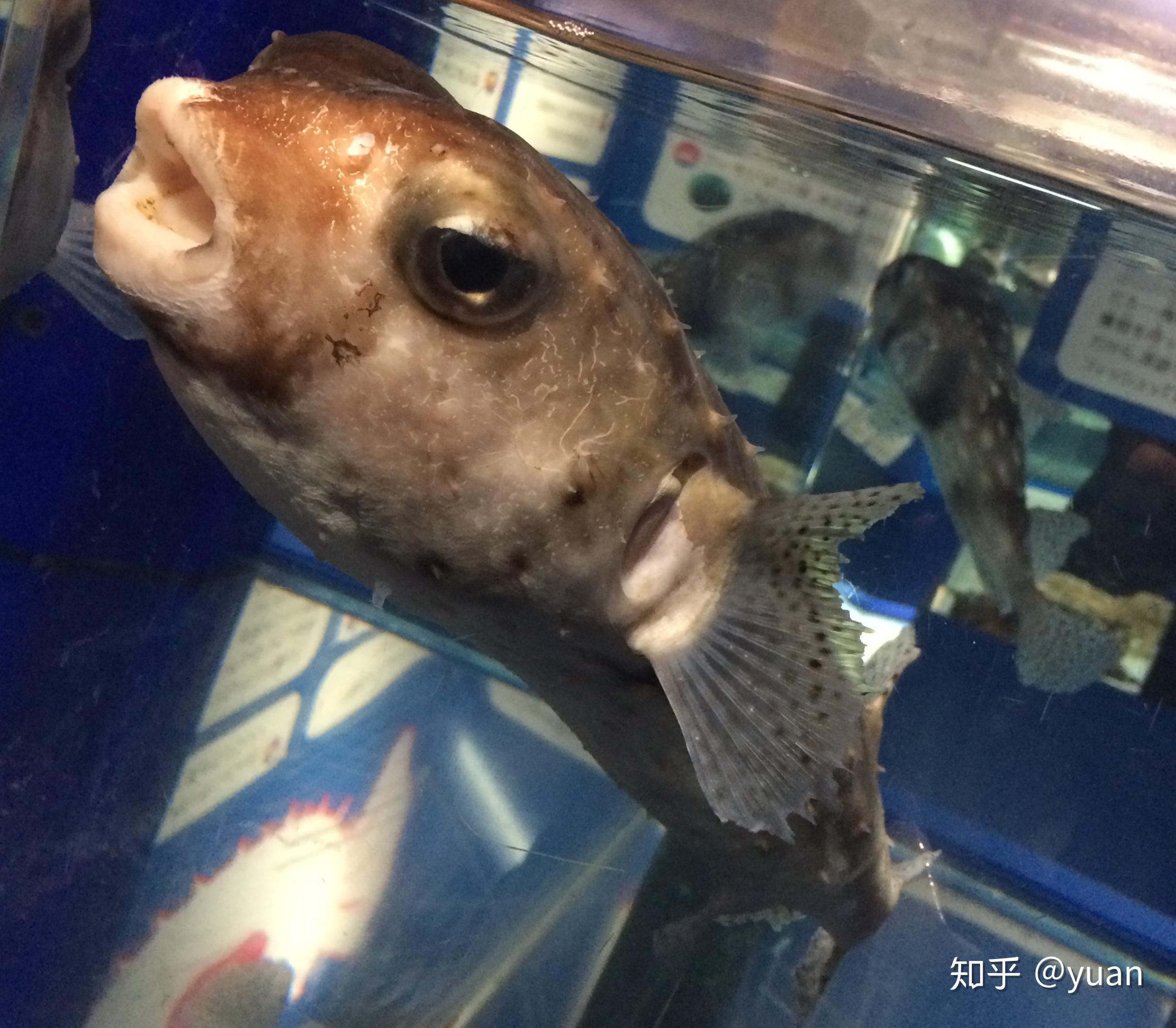 为什么十赌九输,却总有人明知故犯?