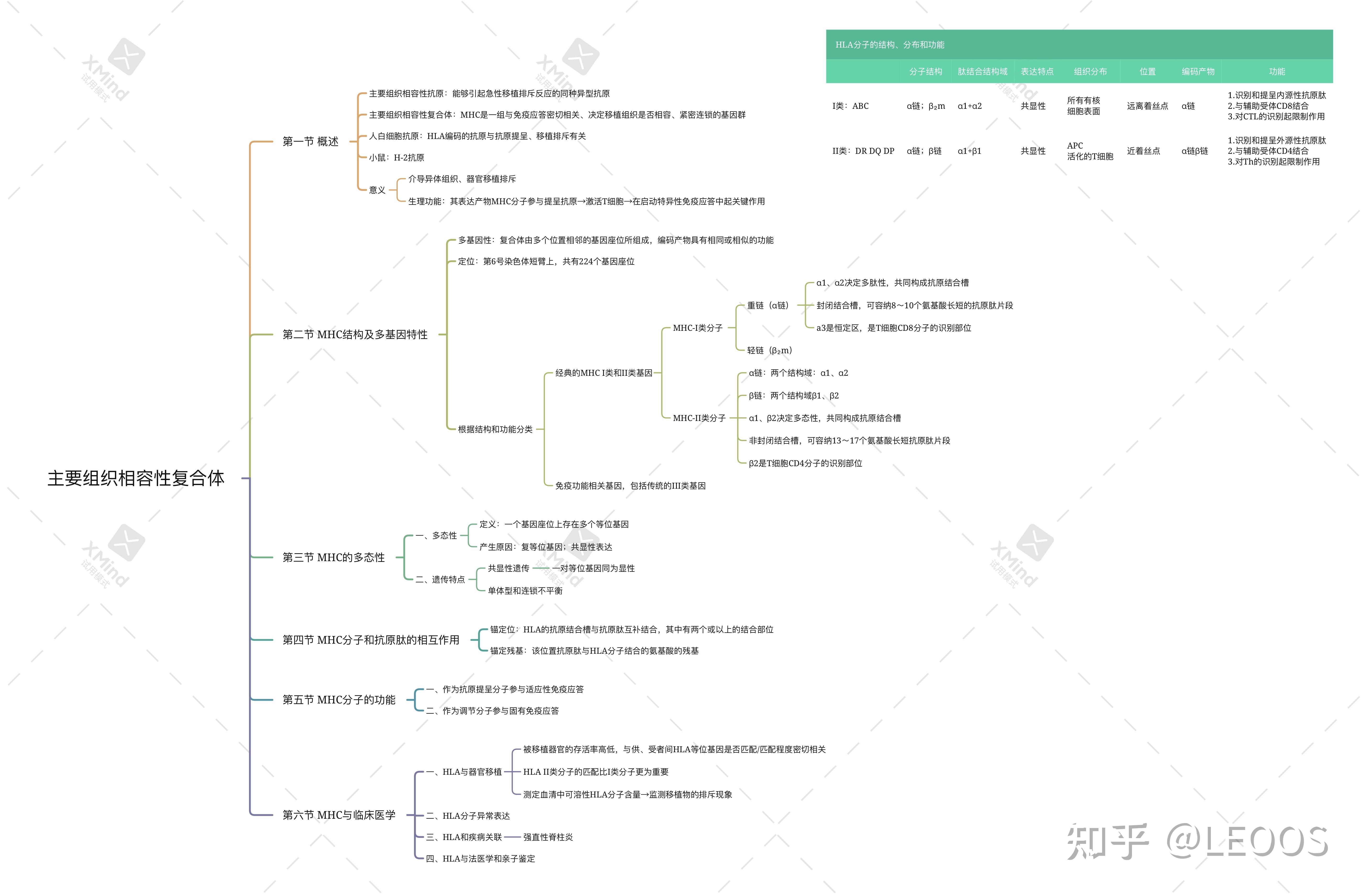 器官移植思维导图图片