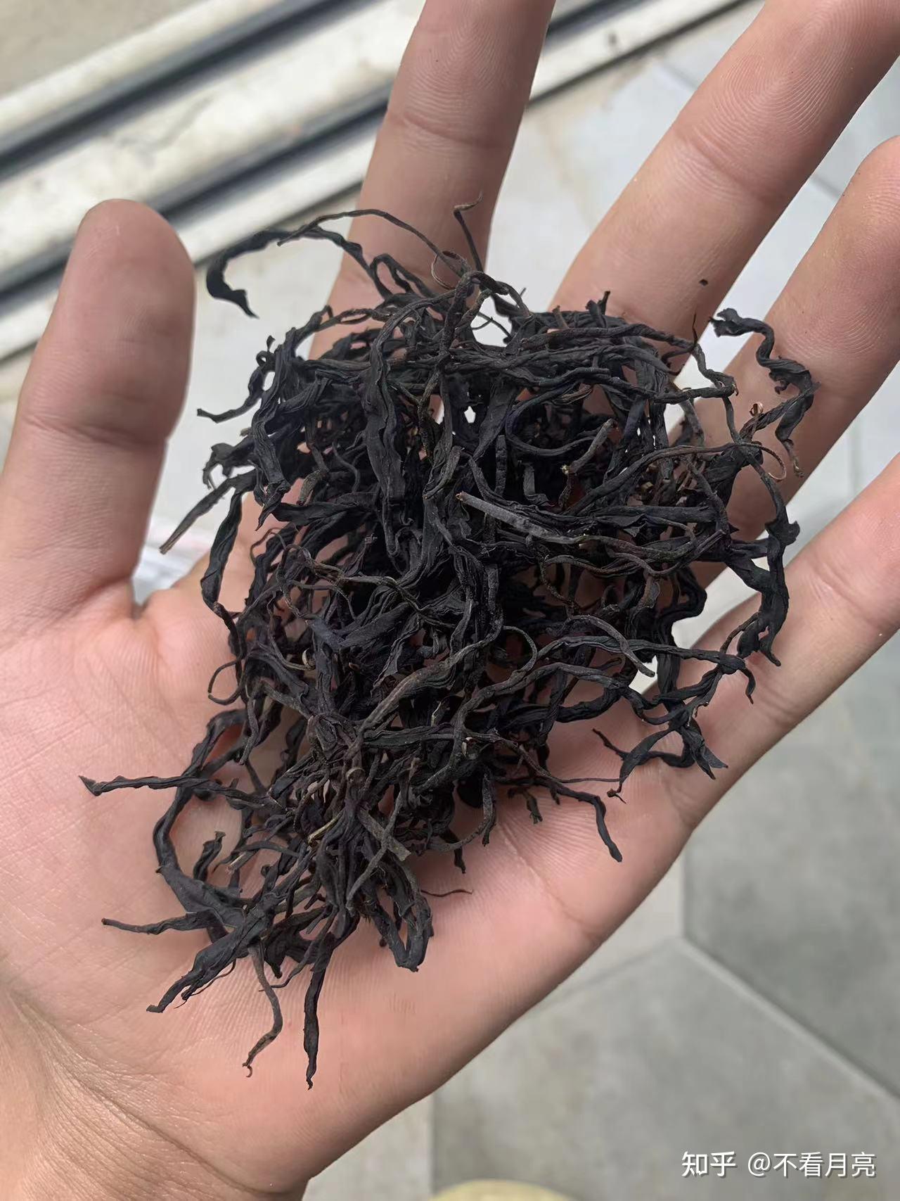 手工云南野生滇红茶 - 知乎