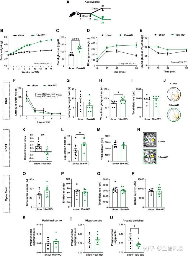 Cell Metabolism:肥胖会引起认知功能障碍,甚至是痴呆 - 知乎