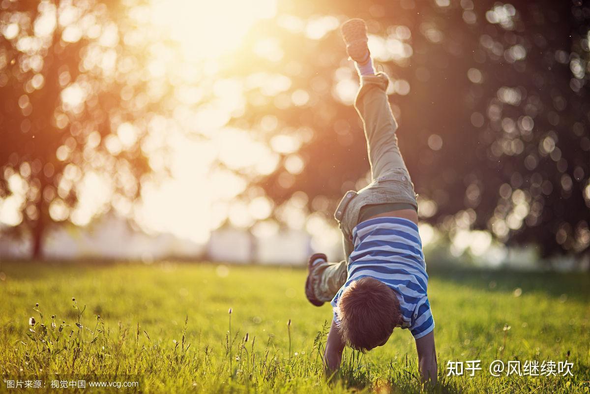 运钞车抢劫案市公安局局长常绪武等领导研究决定,将辽博文物盗窃案,运