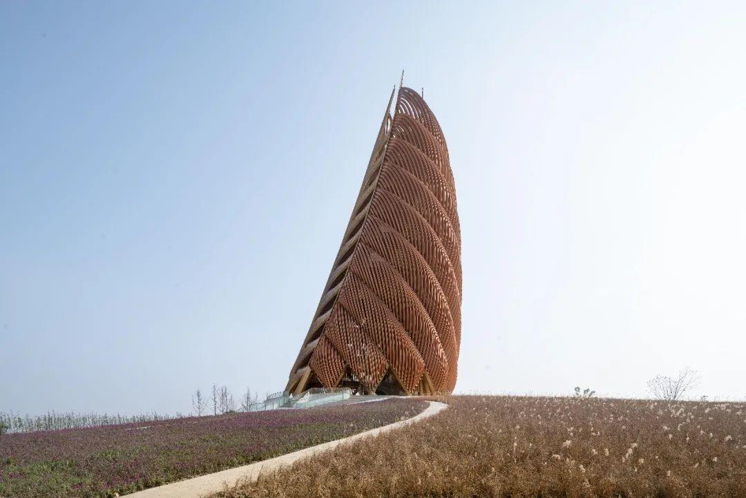 设计灵感丨年度最笋建筑出炉了