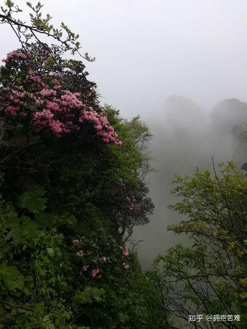 雨中爬云雾山