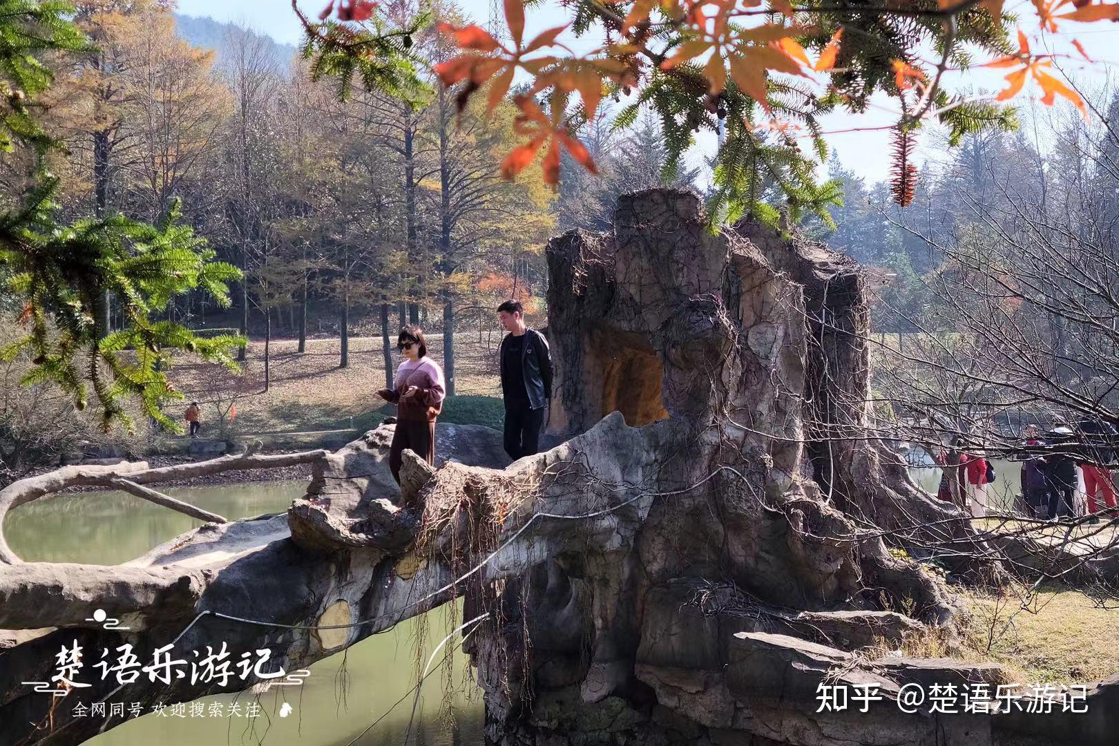 四明山仰天湖海拔图片