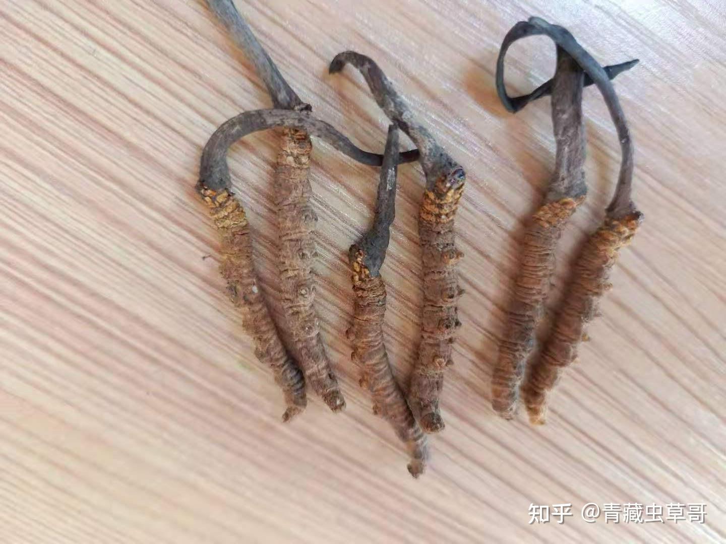 冬虫夏草颜色发黑是什么原因还可以食用吗