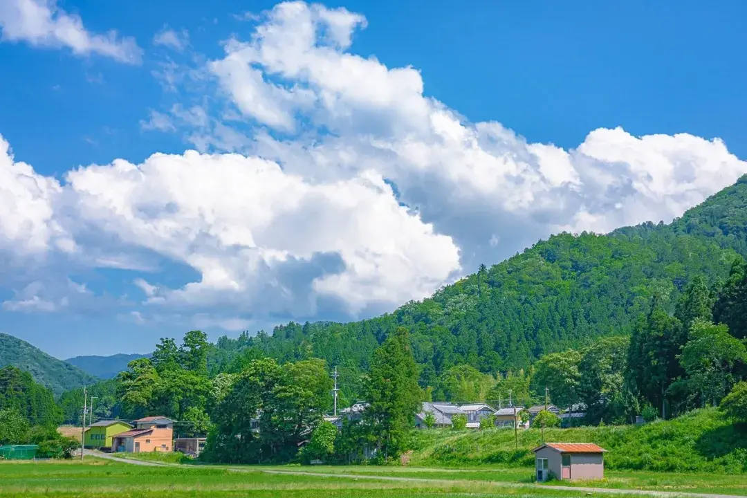 电脑风景高清壁纸山野万里你是我藏在微风中的欢喜