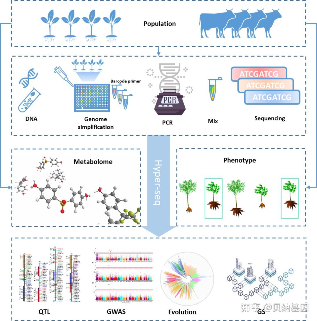Hyper-seq测序应用——遗传图谱与QTL定位 - 知乎