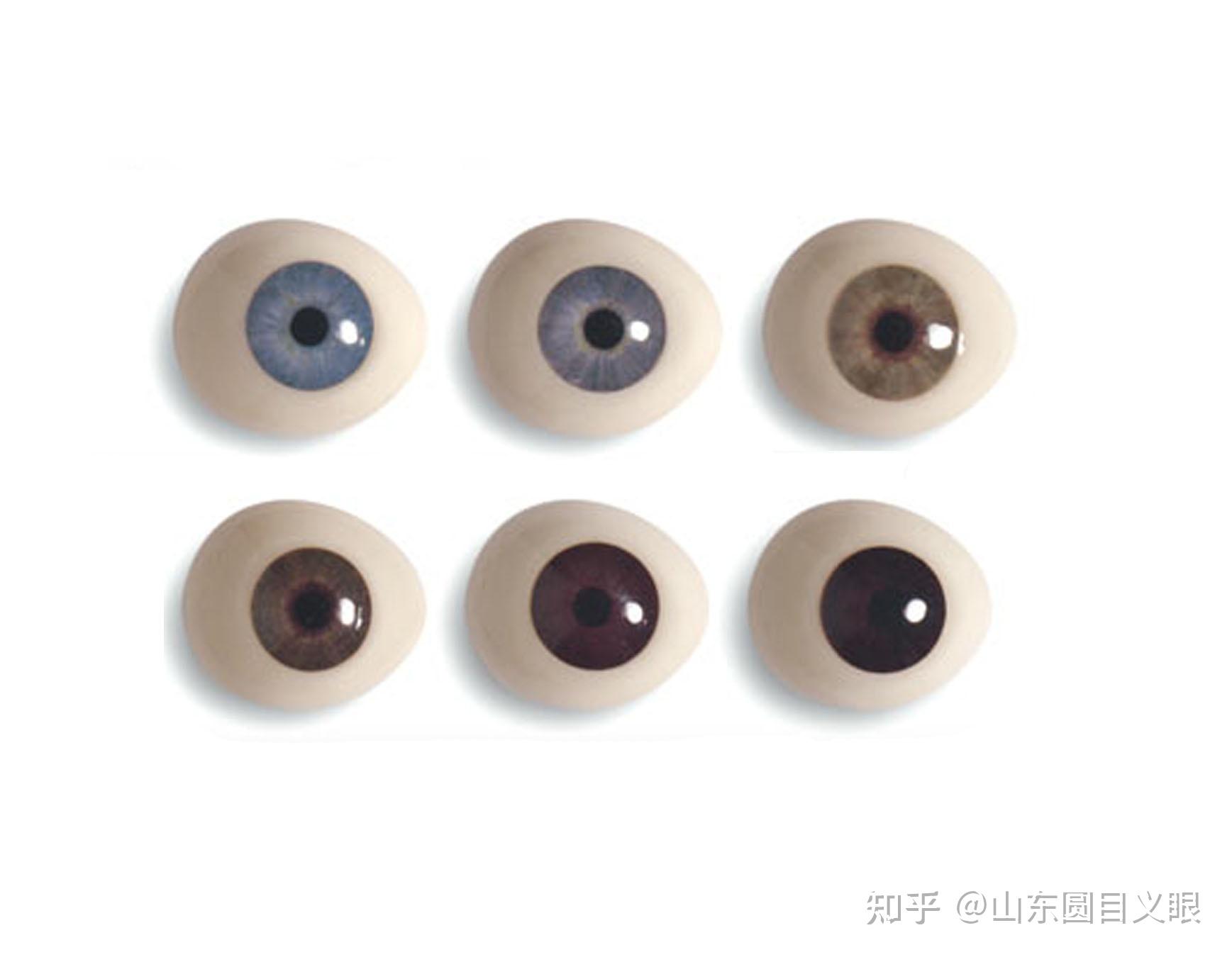 义眼是什么？义眼就是假眼吗？ - 知乎