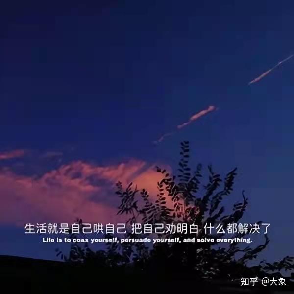 高质的网名(高质量网名大全8.0)
