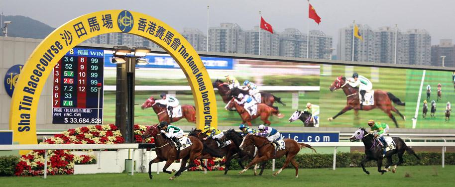 想去香港看赛马比赛怎么买票?