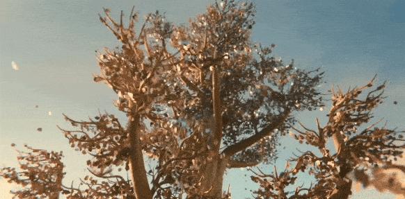 《绝庙骗局2》揭秘泰国最赚钱的行业，震碎你三观