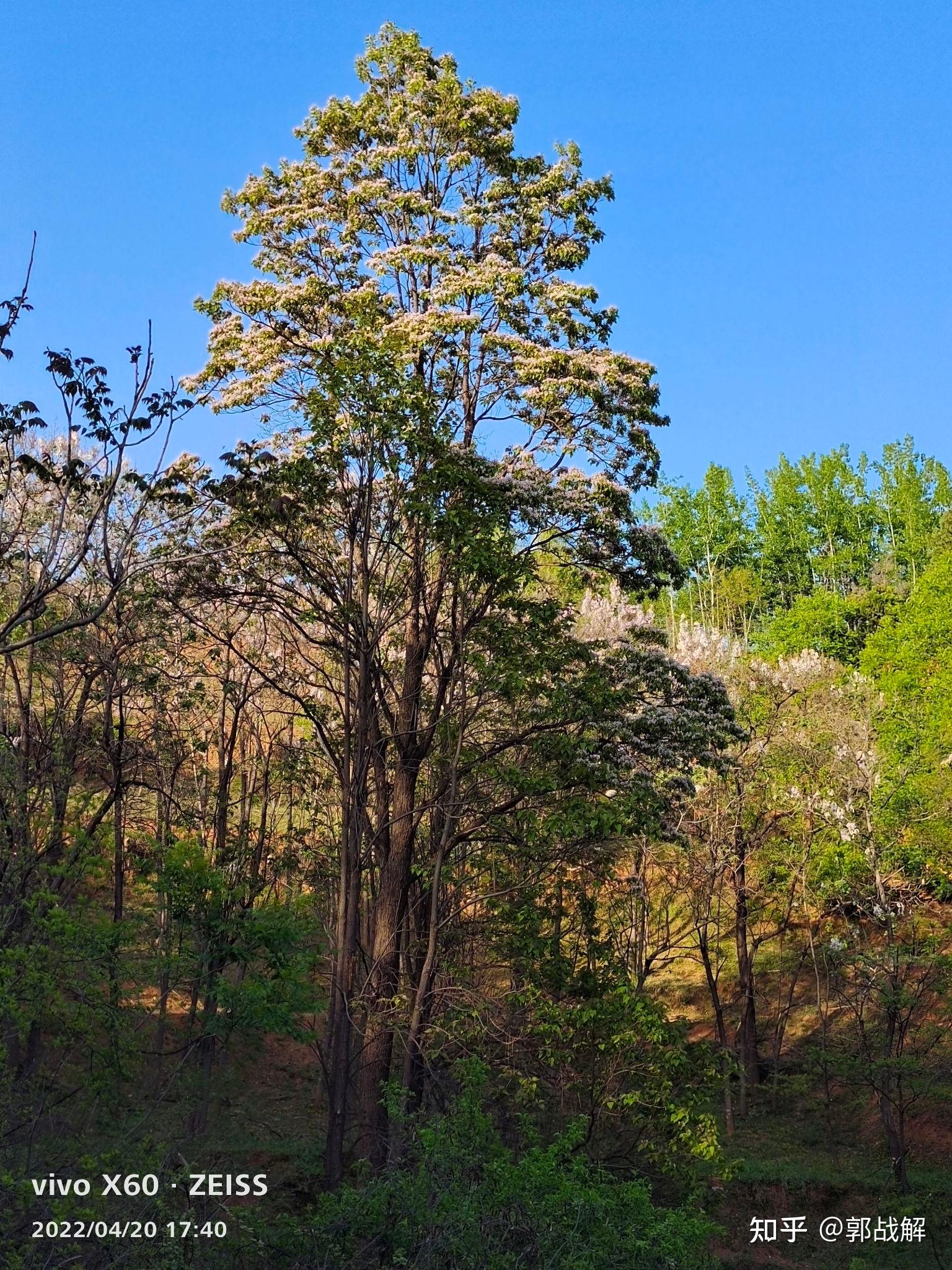 慈善家郭战解拍摄:河南省洛阳市洛宁县长水镇连山村!