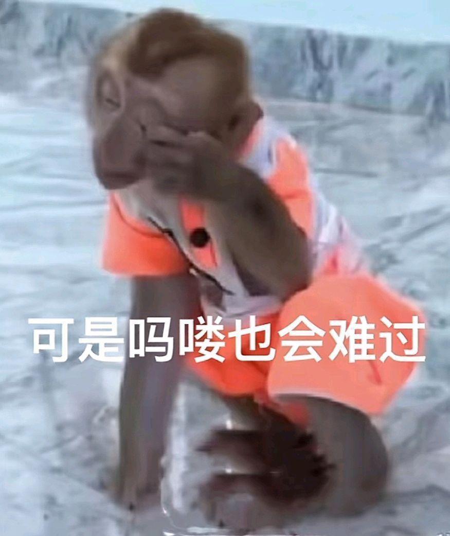 吗喽表情包第二波来咯! - 知乎