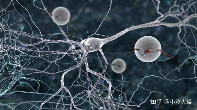 人工神经元跟生物神经元的工作方式非常类似.