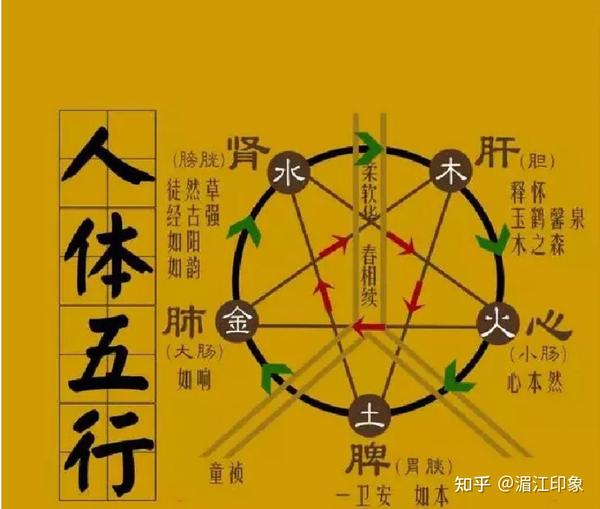 茶中蕴五行,解读茶的五行能量 - 知乎