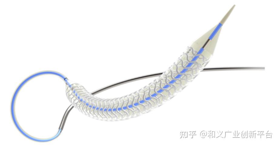 深度 | 血管介入医疗器械行业与产品分析报告（可降解支架篇） - 知乎