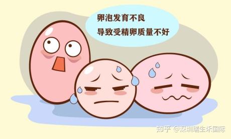 試管嬰兒養囊失敗的原因有哪些? - 知乎