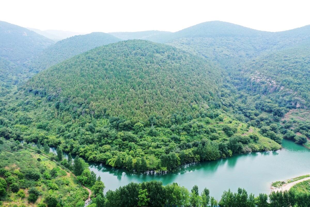 高峰林场,大桂山林场,七坡林场……对于一些不甚了解的人,可能只有