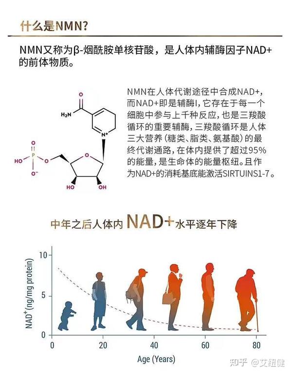 关于服用NMN后的全身副作用 - 知乎