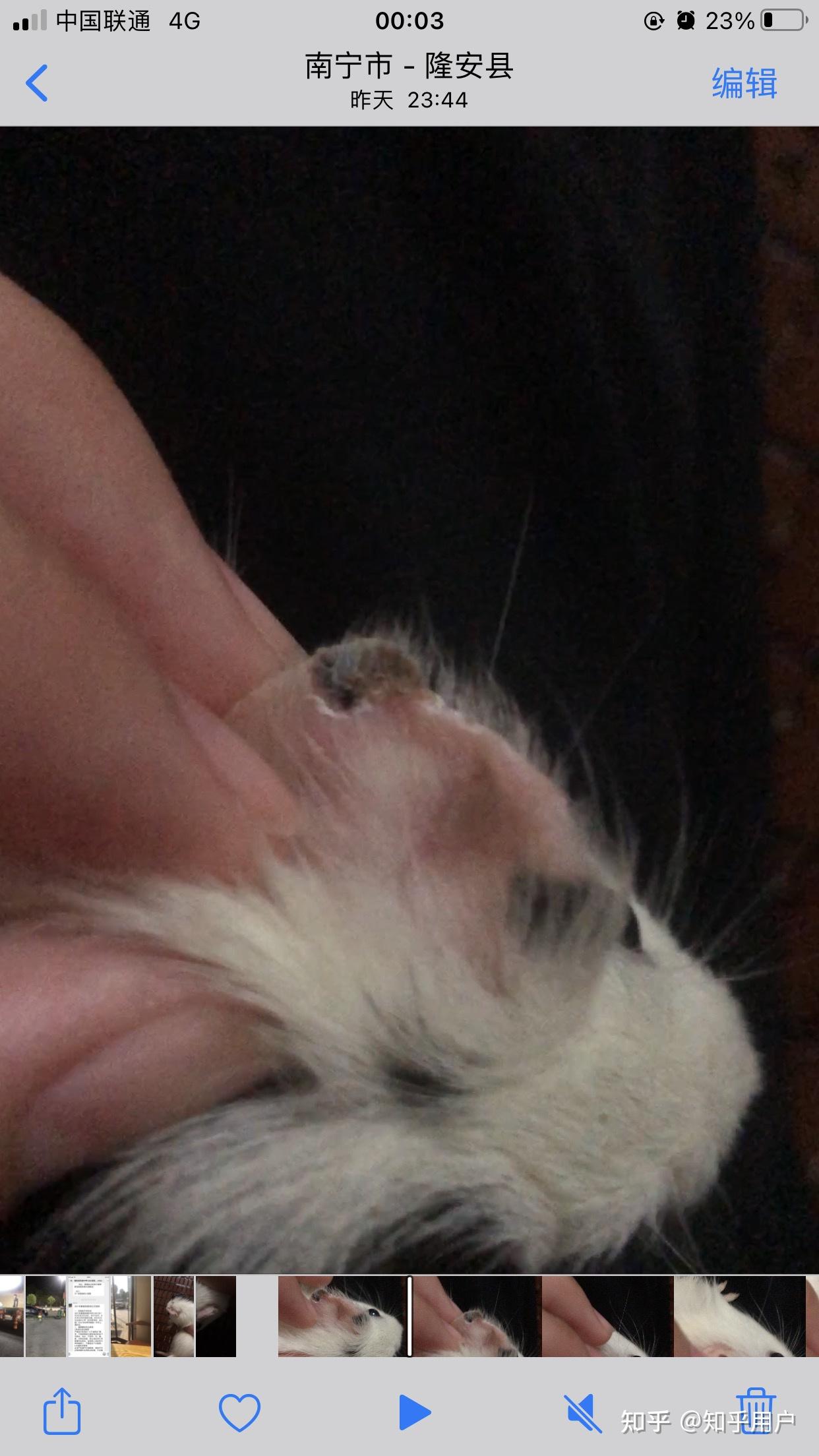 荷兰猪耳朵边缘结痂了