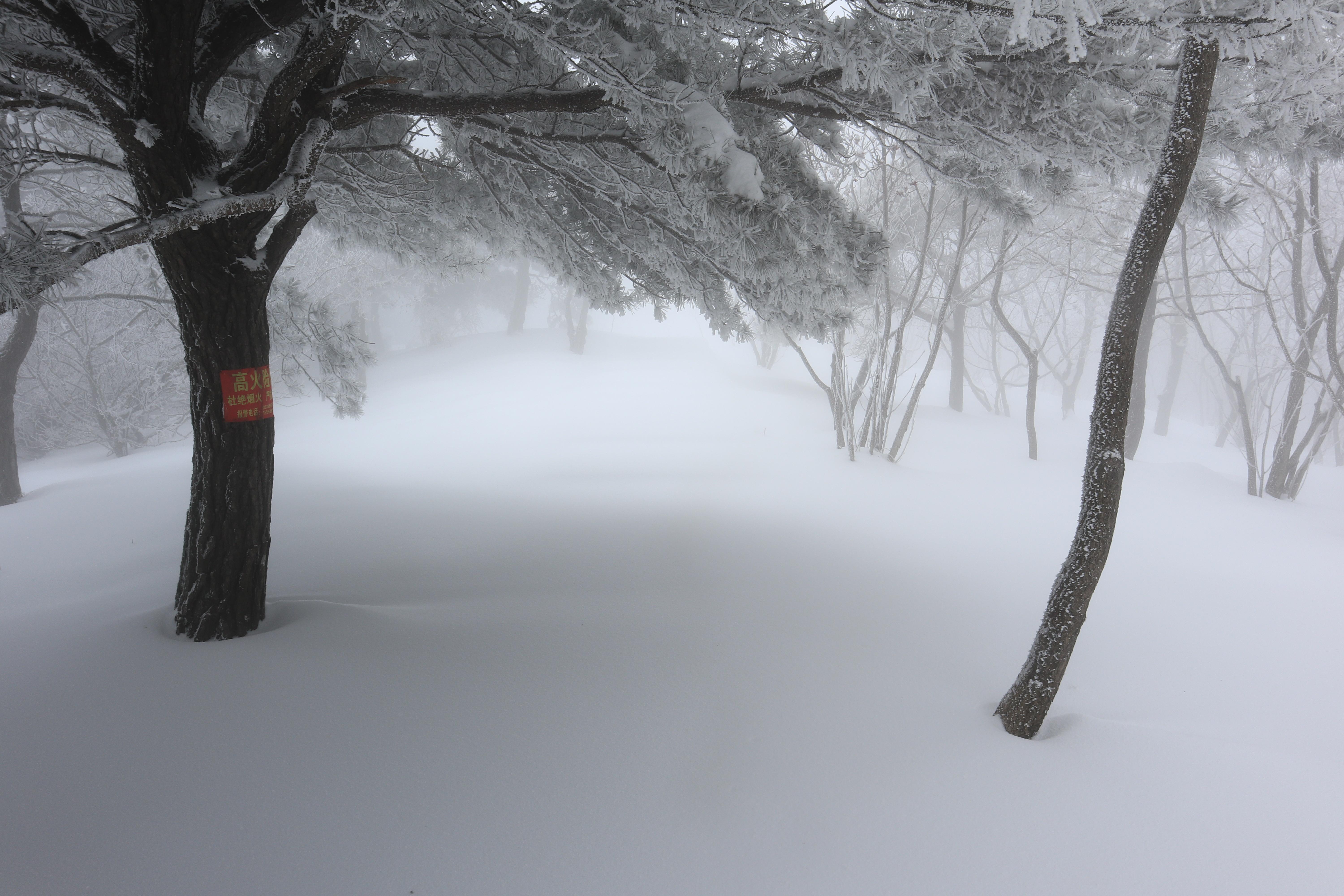 石階路就在前方,毫無痕跡去東堯觀頂出古松園姊妹松,我是下雪之後,第