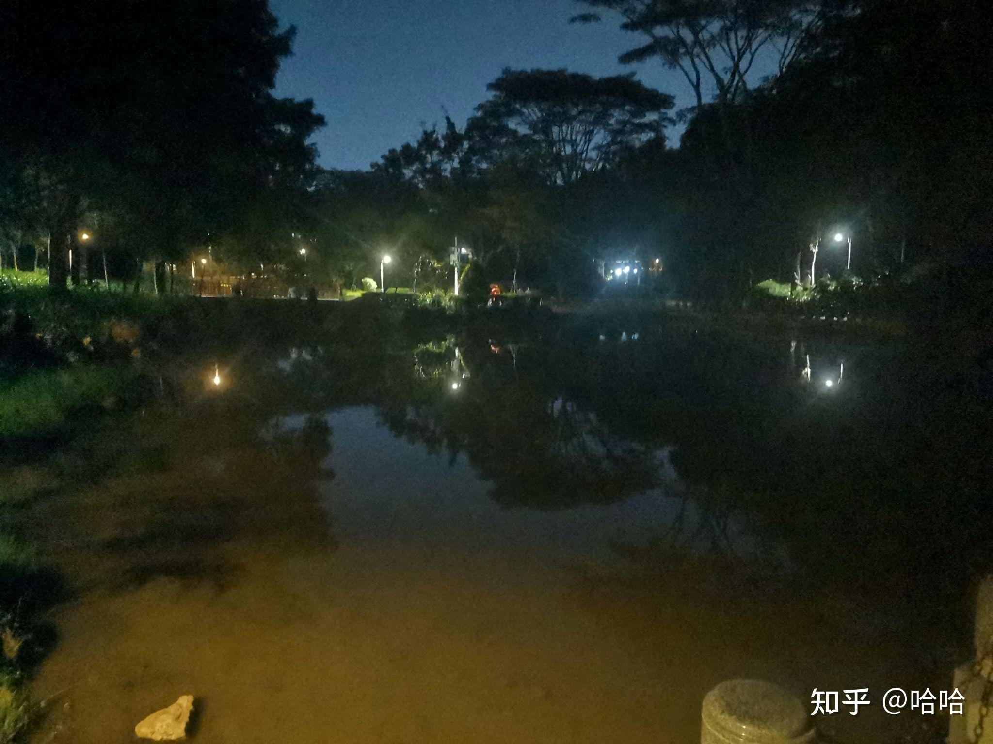 夜晚逛公园 - 知乎
