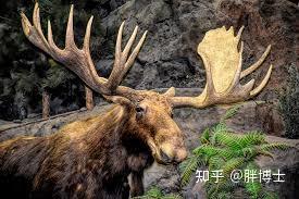女性穿高跟鞋为什么会显得很性感? 3 v2 97594d53df56cbab5464879bc82209ea 720w