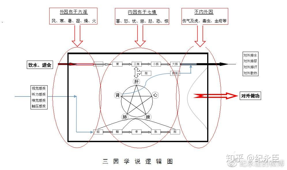 (一)三因学说1,三因学说的由来三因学说最早见于张仲景的《金匮玉函