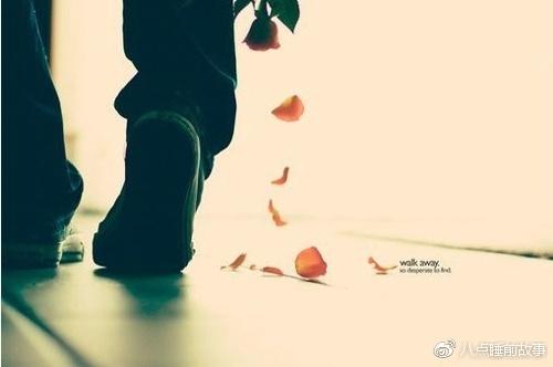 拍照如何提高构图 v2-976518cd312b23ed913943bb9870a297_r.jpg