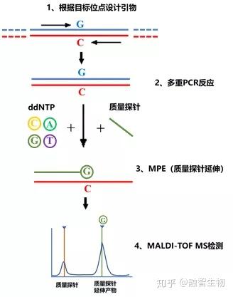 新一代MALDI-TOF MS，实现从细菌到病毒的一网打尽 - 知乎