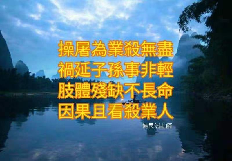 杀业因果报 - 知乎