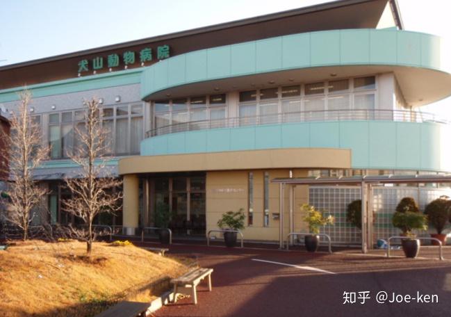 日本top10动物医院营业报告(东京圈/中部/近畿地区2016数据)(人气动物