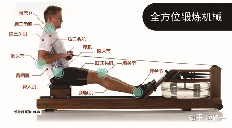 aarnold划船机训练要点