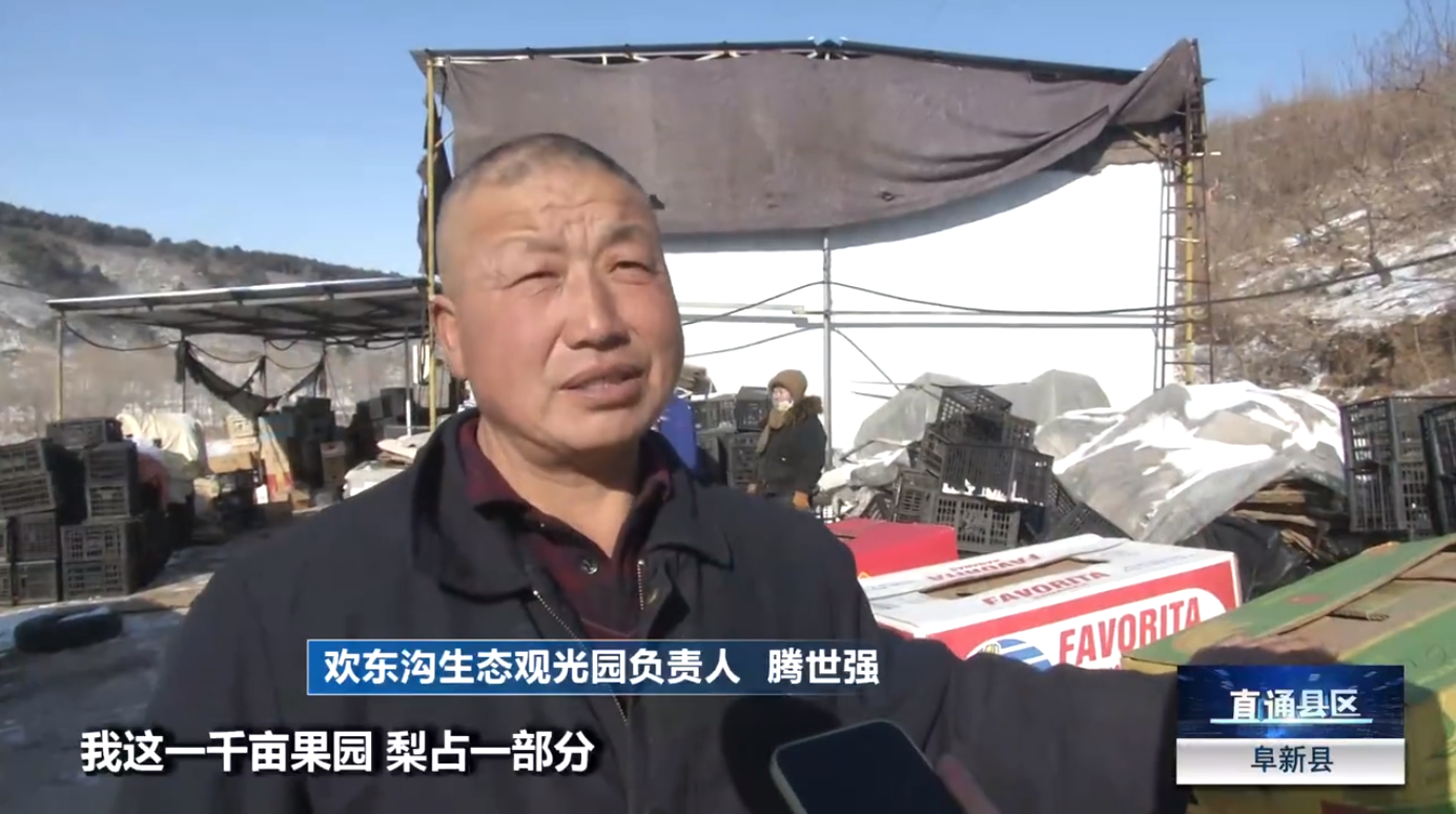 兴乡工作室(第一书记直播间)领头雁鞠大伟兴乡共富带火家乡冻梨 - 知乎